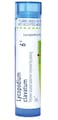 Boiron Lycopodium Clavatum 6C Homeopathic Medicine for Bloating &amp; Gas - 80 Pellets