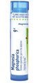Boiron Magnesia Phosphorica 9C for Spasmodic Pain in The Abdomen - 80 Pellets