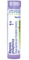 Boiron Magnesia Phosphorica 1M for Spasmodic Pain in The Abdomen - 80 Pellets