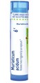 Boiron Muriaticum Acidum 6C Homeopathic Medicine for Hives Triggered by Sun Exposure - 80 Pellets