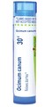 Boiron Ocimum Canum 30C for Diarrhea - 80 Pellets