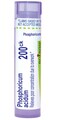 Boiron Phosphoricum Acidum 200Ck Homeopathic Medicine for Concentration - 80 Pellets