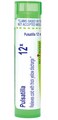 Boiron Pulsatilla 12X for Cold with Nasal Discharge - 80 Pellets