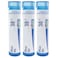 Boiron Rhus Tox 30c Homeopathic Medicine for Joint Pain - Pack of 3 (240 Pellets)