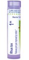 Boiron Rhus Toxicodendron 1M for Joint Pain Improved by Motion - 80 Pellets
