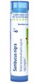 Boiron Sambucus Nigra 6C Homeopathic Medicine for Hoarseness with Painful Cough &amp; Nasal Congestion - 80 Pellets