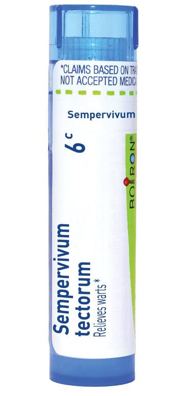 Boiron Sempervivum Tectorum 6Cfor Juvenile Acne with Blackheads - 80 Pellets