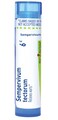 Boiron Sempervivum Tectorum 6Cfor Juvenile Acne with Blackheads - 80 Pellets