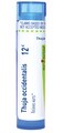 Boiron Thuja Occidentalis 12C Homeopathic Medicine for Painless Wart Removal - 80 Pellets