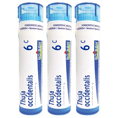 Boiron Thuja Occidentalis 6c Homeopathic Medicine for Warts - Pack of 3 (240 Pellets)