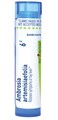 Boiron Ambrosia Artemisiaefolia 6C for Hay Fever &amp; Itchy Eyes - 80 Pellets