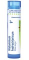 Boiron Histaminum Hydrochloricum 9C Homeopathic Medicine for Allergies - 80 Pellets