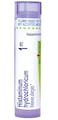 Boiron Histaminum Hydrochloricum 1M Homeopathic Medicine for Allergies - 80 Pellets