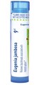 Boiron Eugenia Jambosa 9C Homeopathic Medicine Acne with Blackheads - 80 Pellets