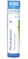 Boiron Ferrum Picricum 9C Homeopathic Medicine for Small Warts in Clusters - 80 Pellets