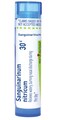Boiron Sanguinarinum Nitricum 30C for Watery, Nasal Discharge - 80 Pellets