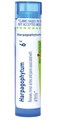 Boiron Harpagophytum 6C Homeopathic Medicine for Minor Aches and Pain Associated with Arthritis - 80 Pellets