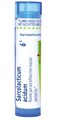 Boiron Sarcolacticum Acidum 6c Homeopathic Relief for Pain and Stiffness from Muscular Overexertion - 80 Pellets