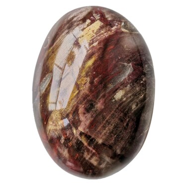 Natural Irregular Petrified Wood Healing Crystal, Polished Massage Palm Stones Worry Pocket Stone