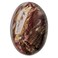 Natural Irregular Petrified Wood Healing Crystal, Polished Massage Palm Stones Worry Pocket Stone