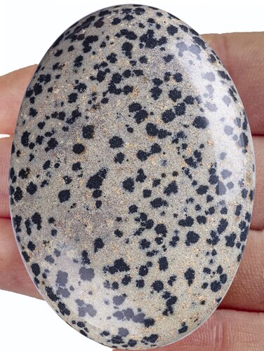 Natural Dalmation Jasper Palm Stone Crystal Oval Pocket Polished Worry Pocket Massage Stones for Anxiety Relief