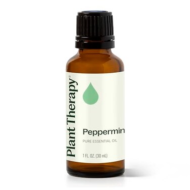 Plant Therapy Peppermint Essential Oil 30 mL (1 oz) 100% Pure, Undiluted, Natural Aromatherapy for Diffuser &amp; Topical Use, Relaxation, Digestion, Respiratory, &amp; Massage, Peppermint Oil for Skin &amp; Hair