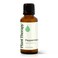 Plant Therapy Peppermint Essential Oil 30 mL (1 oz) 100% Pure, Undiluted, Natural Aromatherapy for Diffuser &amp; Topical Use, Relaxation, Digestion, Respiratory, &amp; Massage, Peppermint Oil for Skin &amp; Hair