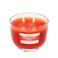 Carolina Freshens Sun Ripened Raspberry Odor Eliminating Highly Fragranced Candle for Home Scented, Eliminates 90% of Pet, Smoke, Food and Other Smells Quickly, 2 Wick, 14 oz - Made in The USA