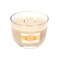 Carolina Freshens Vanilla Honey Odor Eliminating Highly Fragranced Candle for Home Scented, Eliminates 90% of Pet, Smoke, Food and Other Smells Quickly, 2 Wick, 14 oz - Made in The USA