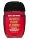 Bath &amp; Body Works PocketBac Hand Gel Japanese Cherry Blossom