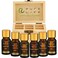 Pure Life Top Essential Oil Set for Diffuser Aromatherapy, 100% Organic Fragrance Oils for Humidifier at Home &amp; Car, Fresh Grade Scents: Lavender, Peppermint, Eucalyptus, Orange, Vanilla &amp; Jasmine.