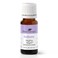 Plant Therapy KidSafe Nighty Night Essential Oil Blend for Sleep 10 mL (1/3 oz) 100% Pure, Undiluted, Natural Aromatherapy, Therapeutic Grade