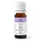 Plant Therapy KidSafe Organic Study Time Essential Oil Blend for Focus, Mind Calming, Concentration Blend for Kids 100% Pure, Undiluted, Natural Aromatherapy, Therapeutic Grade 10 mL (1/3 oz)