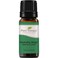 Plant Therapy Munchy Stop Essential Oil Blend 10 mL (1/3 oz) 100% Pure, Undiluted, Therapeutic Grade