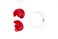 Doc's Proplugs - Medium (Vented), Red w/Leash