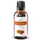 ArOmis Organic Palo Santo Essential Oil - 100% Pure Therapeutic Grade 30ml (1 Fl Oz) - Undiluted, Premium, Oils for Aromatherapy Diffuser
