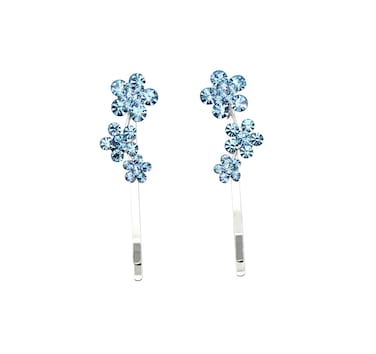 Faship A Pair Of Aqua Crystal Floral Hair Clip Pins 2 Pcs