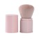 Retractable Kabuki Brushes Foundation Brush Blush Brush Bronzer Brush Face Blender Brush Professional Powder Mineral Blending Buffing Makeup Application Portable With Cover - Pink
