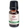 Fabulous Frannie Pine 100% Pure, Undiluted Essential Oil Therapeutic Grade - 10 ml. Great for Aromatherapy!