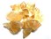 Crystal Collection Rough Citrine (3 Pound)