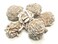 Crystal Collection Selenite Rose Set of 5