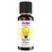 NOW Essential Oils, Mental Focus Oil Blend, Centering Aromatherapy Scent, Blend of Pure Essential Oils, Vegan, Child Resistant Cap, 1-Ounce