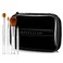 Sheer Cover Studio Ultimate Brush Kit Foundation, Lip, Concealer &amp; Contour Brushes FREE Case 5 Pieces