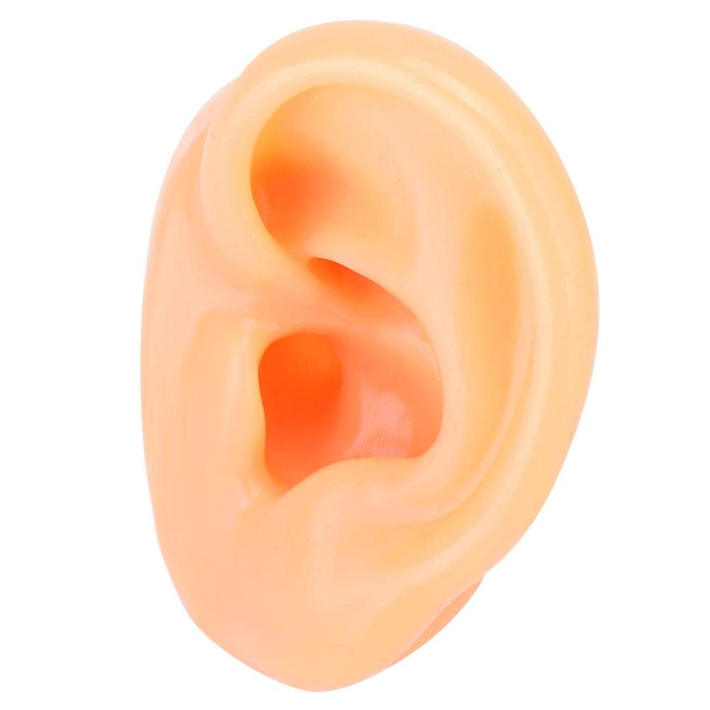 Ear Model Cast Buy Ear Model , Soft Silicone Simulation Left Human Ear Model Ear ...
