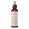 Bach Original Flower Remedies, Star of Bethlehem for Grief and Shock, Natural Homeopathic Flower Essence, Holistic Wellness and Stress Relief, Vegan, 20mL Dropper