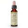 Bach Original Flower Remedies, Chestnut Bud (Non-Alcohol Formula) - Learn from Mistakes - Natural Homeopathic Flower Essence for Emotional Balance - Vegan, Gluten Free, Sugar Free - 10mL Dropper