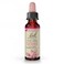Bach Original Flower Remedies, Crab Apple (Non-Alcohol Formula) - Accept Imperfections - Natural Homeopathic Flower Essence for Emotional Balance - Vegan, Gluten Free, Sugar Free - 10mL Dropper