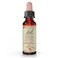Bach Original Flower Remedies, Mimulus (Non-Alcohol Formula) - Face Your Fears - Natural Homeopathic Flower Essence for Emotional Balance - Vegan, Gluten Free, Sugar Free - 10mL Dropper