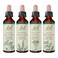 Bach Original Flower Remedies 4-Pack, "Stand Your Ground" Essence Grouping, Build Your Complete Bach System - Holly, Centaury, Agrimony, Walnut, Homeopathic Flower Essences, Vegan, 20mL Dropper x4
