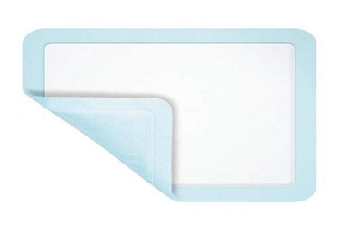 Xtrasorb Classic Dressing, 6" x 9", Box of 10
